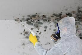 Best Residential Mold Inspection & Testing  in South Chicago Heights, IL